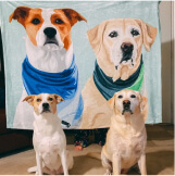 Home 7 20 Banner 7 Group 3