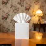 2 Ply Tissue Boxes 2 2 Ply Blank Tissue Boxes Manufacturers Markson India
