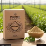 Buy 100g Eco Friendly Spices Boxes wholesale near me Markson India