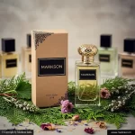 20Ml Eco Perfume Boxes 2 Buy 20Ml Eco Perfume Boxes Wholesale Near Me Markson India