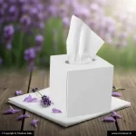 Custom Tissue Boxes 2 Custom Blank Tissue Boxes Manufacturers Markson India
