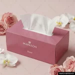 Standard Tissue Paper Boxes 2 Standard Tissue Boxes Latest Price Markson India