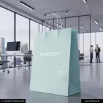 Custom Paper Bags With Twisted Pp Handle 4 Buy Custom Paper Bags With Twisted Pp Handle Designing Near Me Markson India