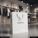 Best Multicolour Paper Bags With Ribbon Handle Printing Services Markson India